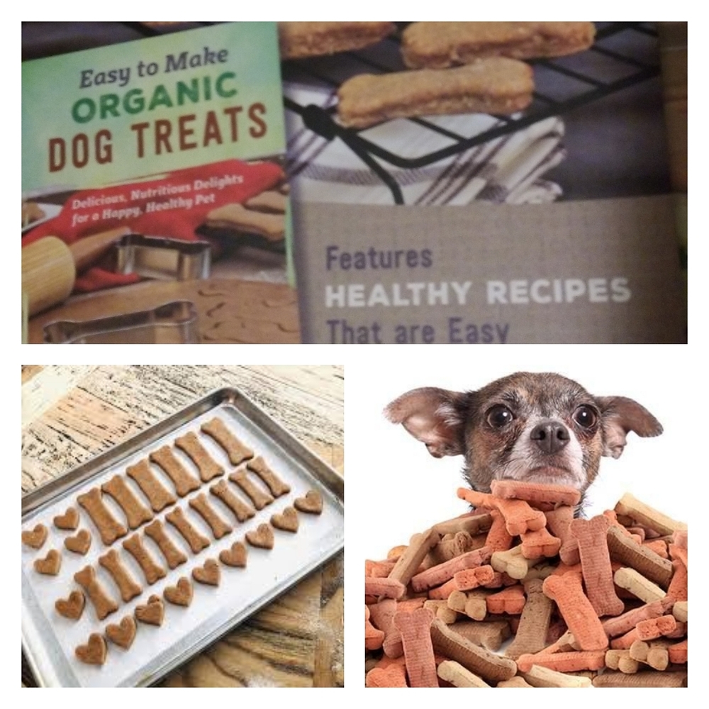 Organic Dog Treats Book & Kit Home Cooking For Your Dog (aka best friend)